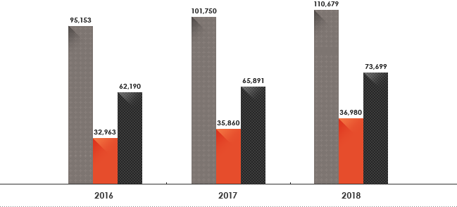 2015 : Assets 90.721/Liabilities 31,764/Stockholders’ Equity 58,948, 2016 : Assets 95,153/Liabilities 32,963/Stockholders’ Equity 62,190, 2017 : Assets 101,750/Liabilities 35,860/Stockholders’ Equity 65,891